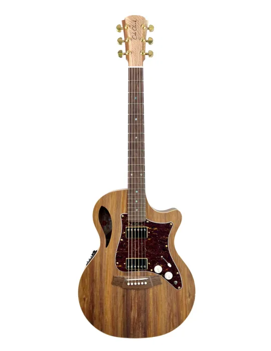 COLE CLARK TL2EC-BLBL-HH | MusicGoodDeal
