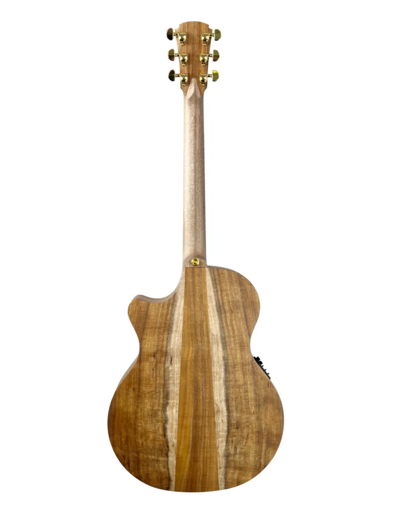 COLE CLARK TL2EC-BLBL-HH | MusicGoodDeal