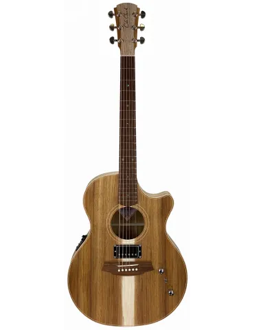  COLE CLARK GUITAR TL2EC-BLBL-HU CASE|MusicGoodDeal 