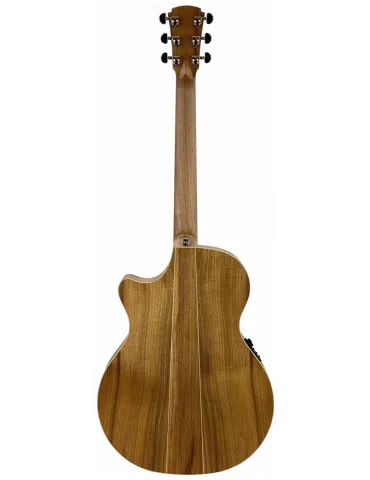  COLE CLARK GUITAR TL2EC-BLBL-HU CASE|MusicGoodDeal  2