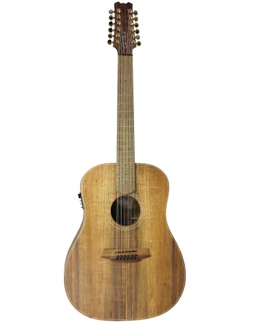  COLE CLARK FL2E-12-BLBL FL2A3 12 STRING GUITAR CASE|MusicGoodDeal 
