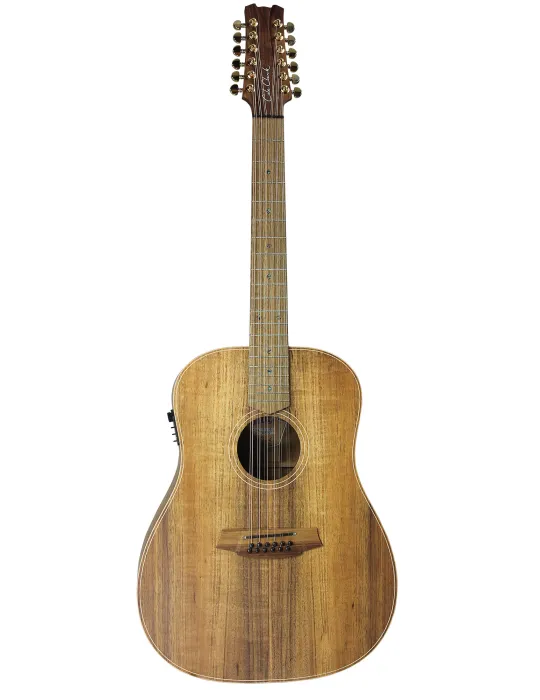  COLE CLARK FL2E-12-BLBL FL2A3 ESTUCHE DE 12 CUERDAS PARA GUITARRA|MusicGoodDeal 