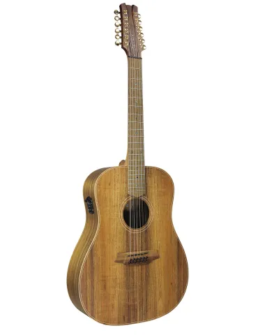  COLE CLARK FL2E-12-BLBL FL2A3 12 STRING GUITAR CASE|MusicGoodDeal  2