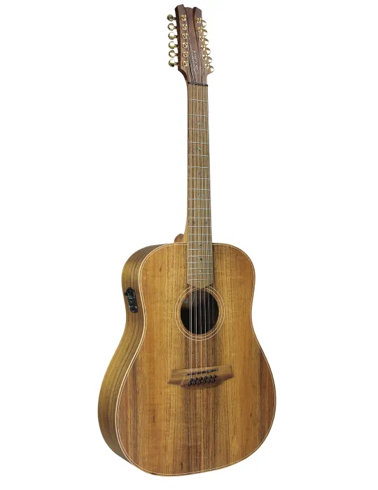  COLE CLARK FL2E-12-BLBL FL2A3 ESTUCHE DE 12 CUERDAS PARA GUITARRA|MusicGoodDeal 