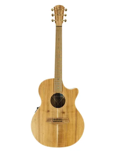  COLE CLARK AN2EC-BLBL AN2EC GUITAR, CASE|MusicGoodDeal 