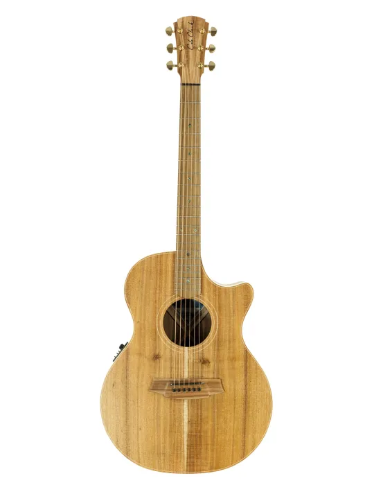  COLE CLARK AN2EC-BLBL GUITARRA AN2EC, ESTUCHE|MusicGoodDeal 