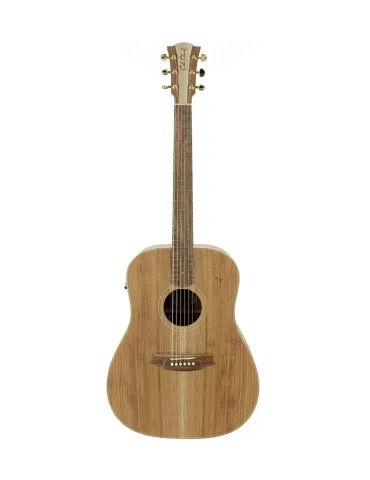 COLE CLARK FL2E-BLBL | MusicGoodDeal