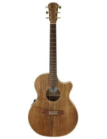  COLE CLARK GUITAR TL2EC-BLBL CASE|MusicGoodDeal 