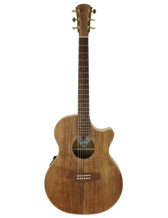  FUNDA DE GUITARRA COLE CLARK TL2EC-BLBL|MusicGoodDeal 