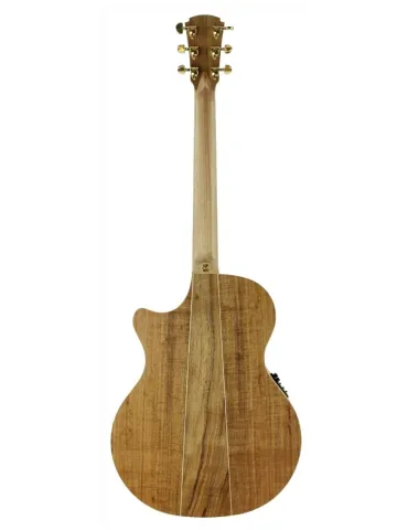  COLE CLARK GUITAR TL2EC-BLBL CASE|MusicGoodDeal  2