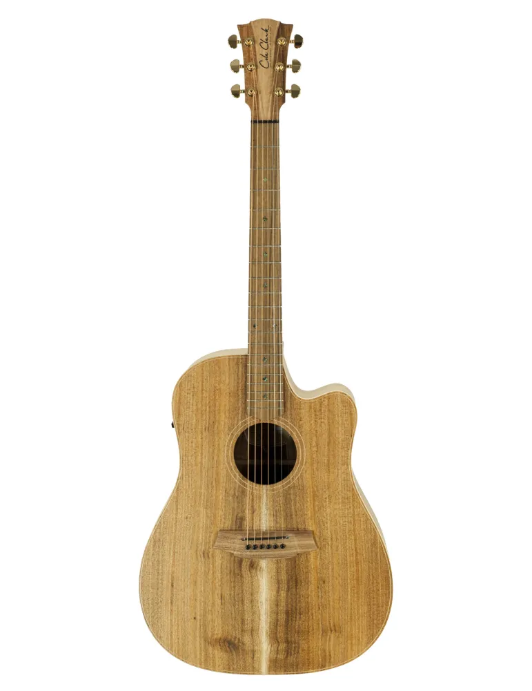  COLE CLARK FL2EC-BLBL FL2EC GUITAR, CASE|MusicGoodDeal 