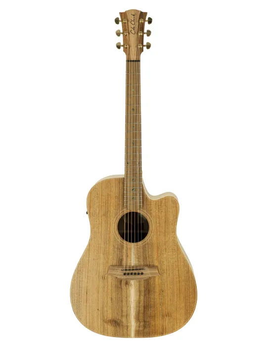  COLE CLARK FL2EC-BLBL FL2EC GUITAR, CASE|MusicGoodDeal 
