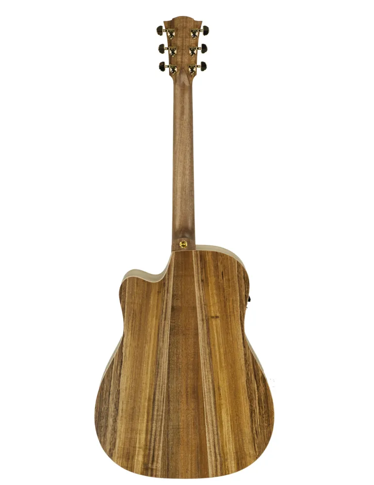  COLE CLARK FL2EC-BLBL FL2EC GUITAR, CASE|MusicGoodDeal 
