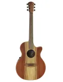 COLE CLARK AN2EC-RDBL | MusicGoodDeal
