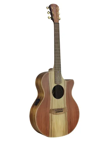 COLE CLARK AN2EC-RDBL | MusicGoodDeal 2