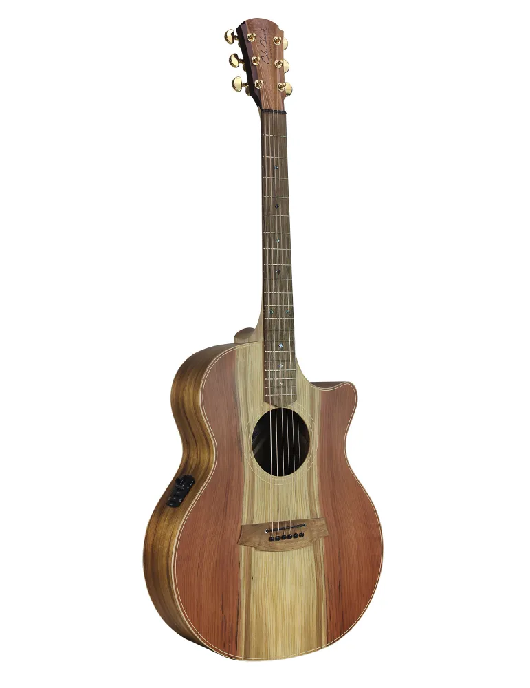 COLE CLARK AN2EC-RDBL | MusicGoodDeal