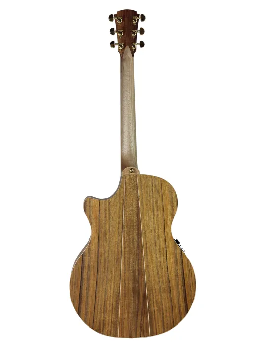 COLE CLARK AN2EC-RDBL | MusicGoodDeal