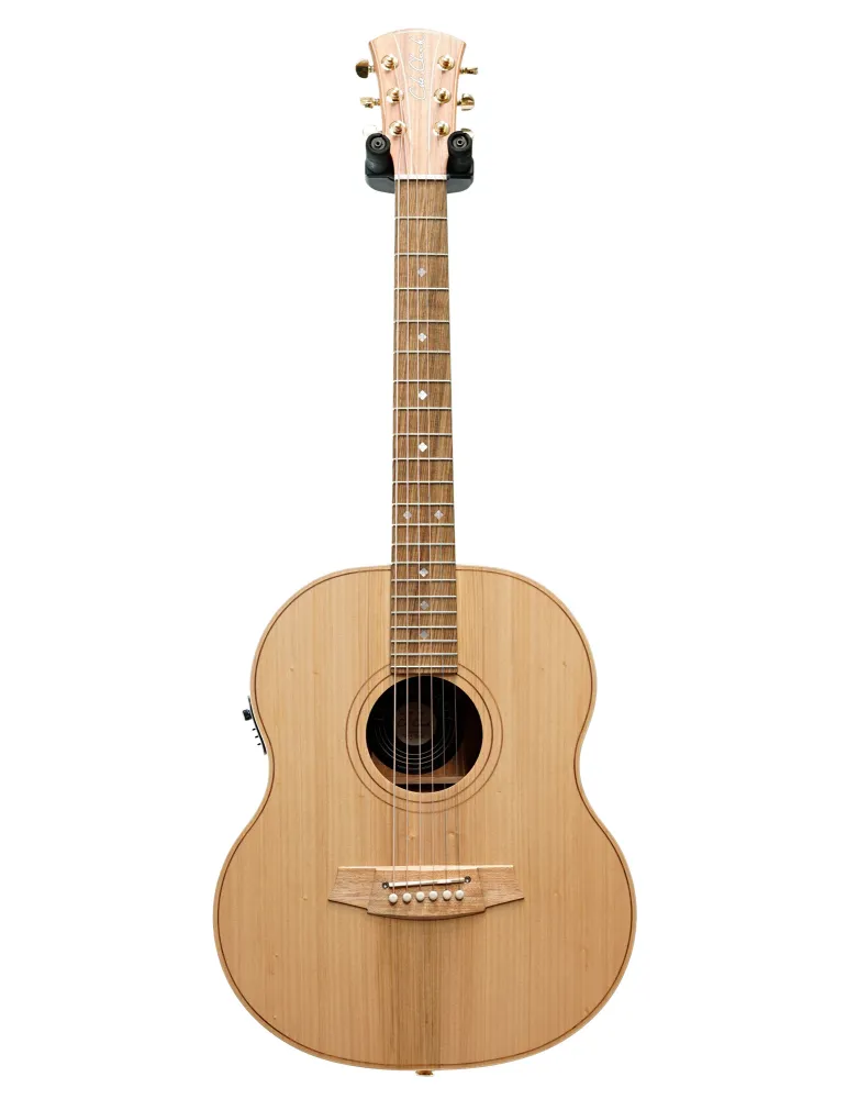  COLE CLARK LL2E-BB GUITAR LL2E, CASE|MusicGoodDeal 