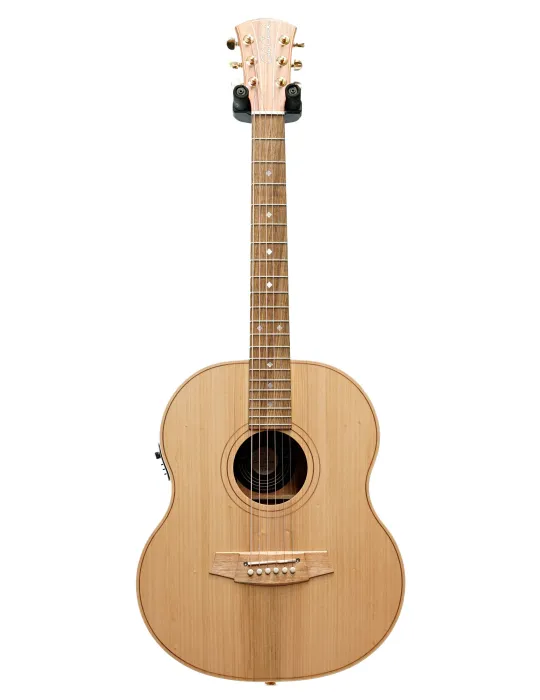  COLE CLARK LL2E-BB GUITAR LL2E, CASE|MusicGoodDeal 