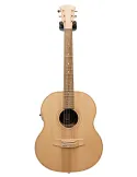  COLE CLARK LL2E-BB GUITAR LL2E, CASE|MusicGoodDeal 