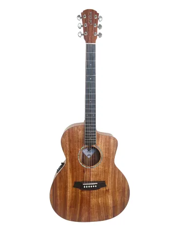 COLE CLARK SAN1EC-BLBL | MusicGoodDeal