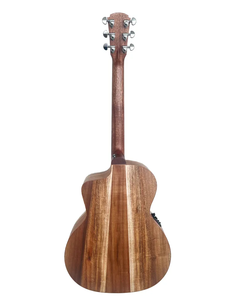 COLE CLARK SAN1EC-BLBL | MusicGoodDeal