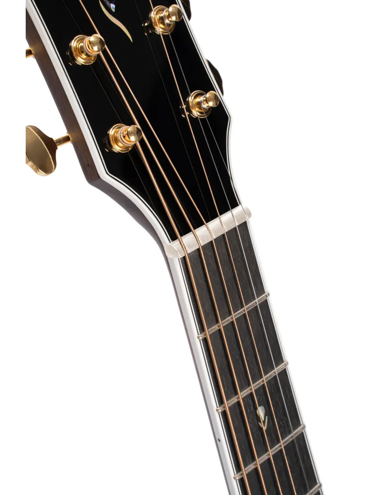  CORT GITARRE GOLD-OC8 NATUR GLÄNZEND|MusicGoodDeal 