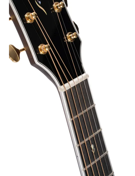  CORT GITARRE GOLD-OC8 NATUR GLÄNZEND|MusicGoodDeal 