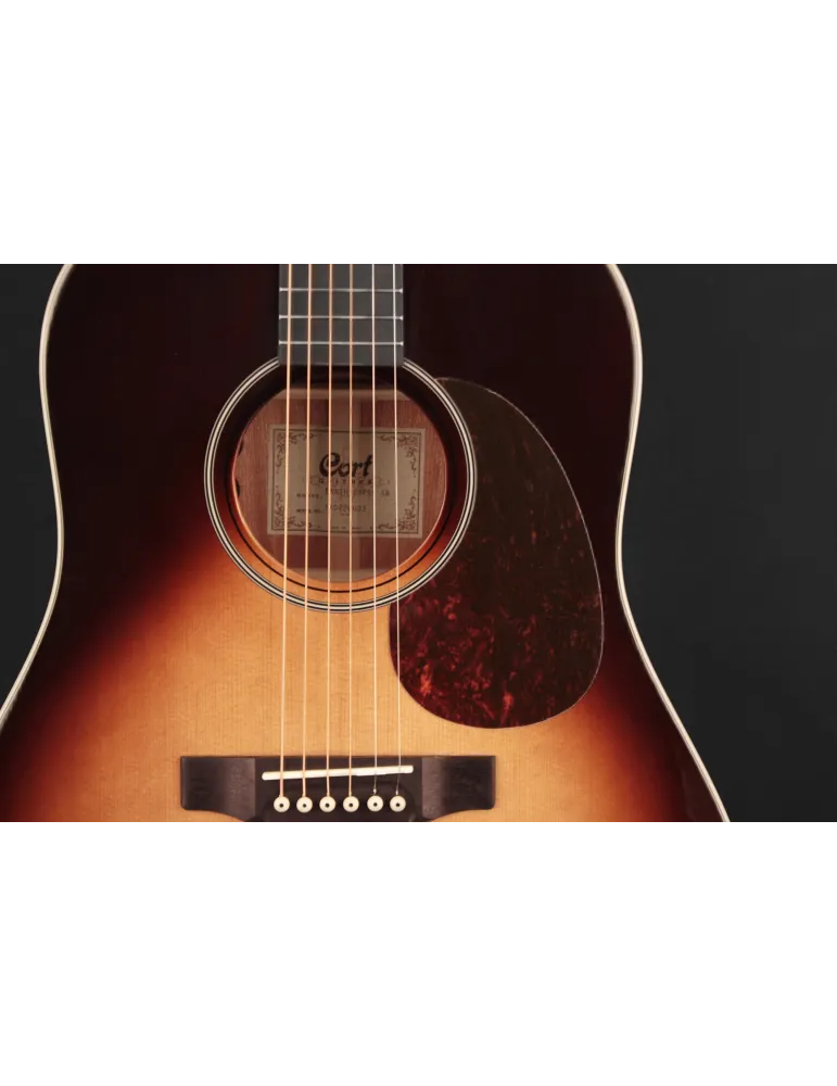 CORT E100SSFSB EARTH100F SUNBURST GUITAR|MusicGoodDeal 