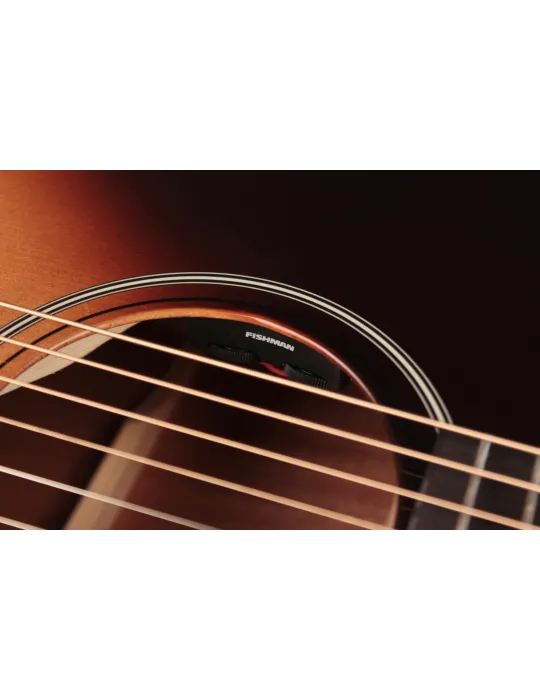  CORT E100SSFSB EARTH100F SUNBURST GUITAR|MusicGoodDeal 