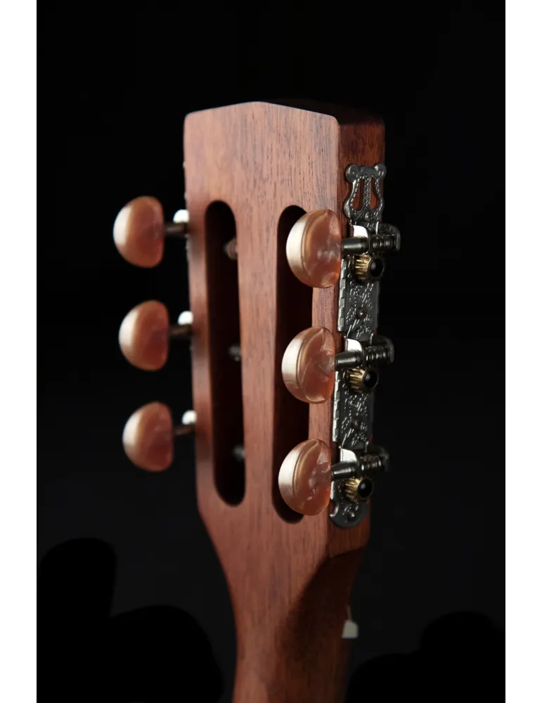  CORT GITARRE AP550M PARLOR MAHAGONI|MusicGoodDeal 