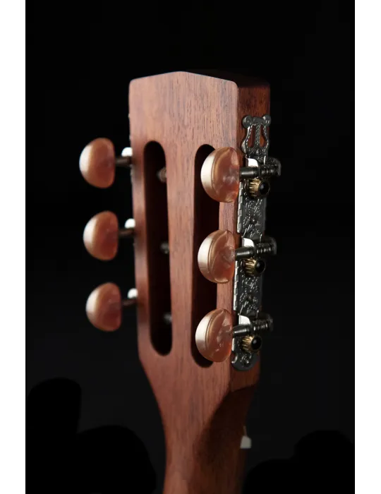  CORT GITARRE AP550M PARLOR MAHAGONI|MusicGoodDeal 