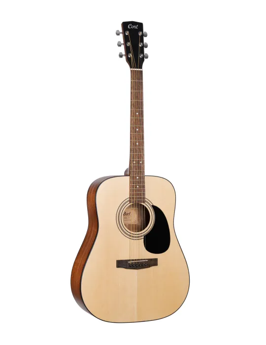 CORT 810OP | MusicGoodDeal