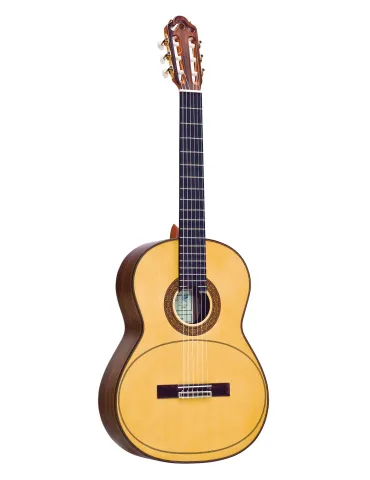 ESTEVE MEMBRANE GUITAR CEDAR TOP, CASE