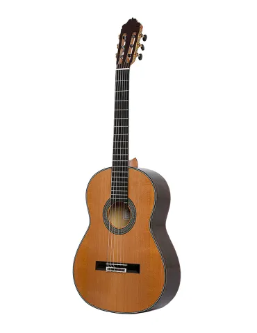  ESTEVE GUITAR 65 YEARS|MusicGoodDeal 