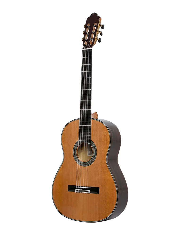  ESTEVE GUITAR 65 YEARS|MusicGoodDeal 