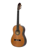  ESTEVE GUITAR 65 YEARS|MusicGoodDeal 