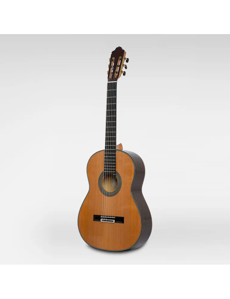  ESTEVE GUITAR 65 YEARS|MusicGoodDeal 