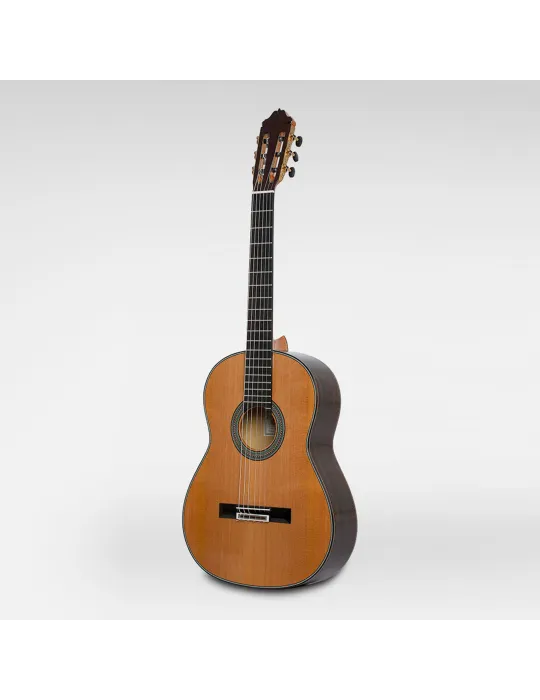  ESTEVE GUITAR 65 YEARS|MusicGoodDeal 