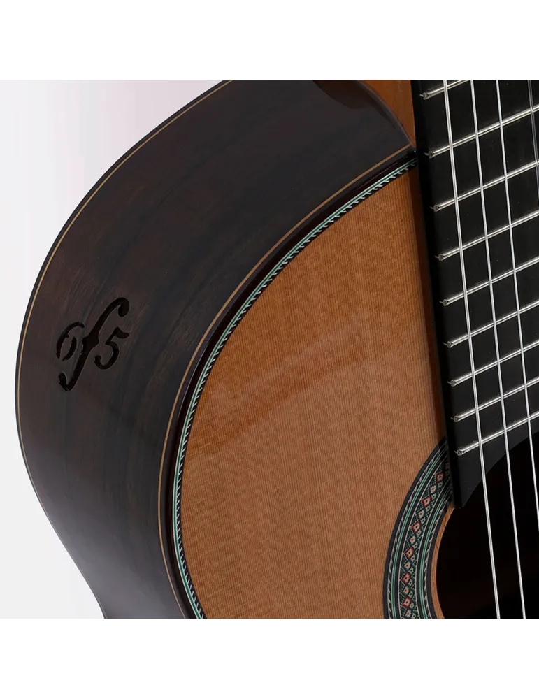  ESTEVE GUITAR 65 YEARS|MusicGoodDeal 