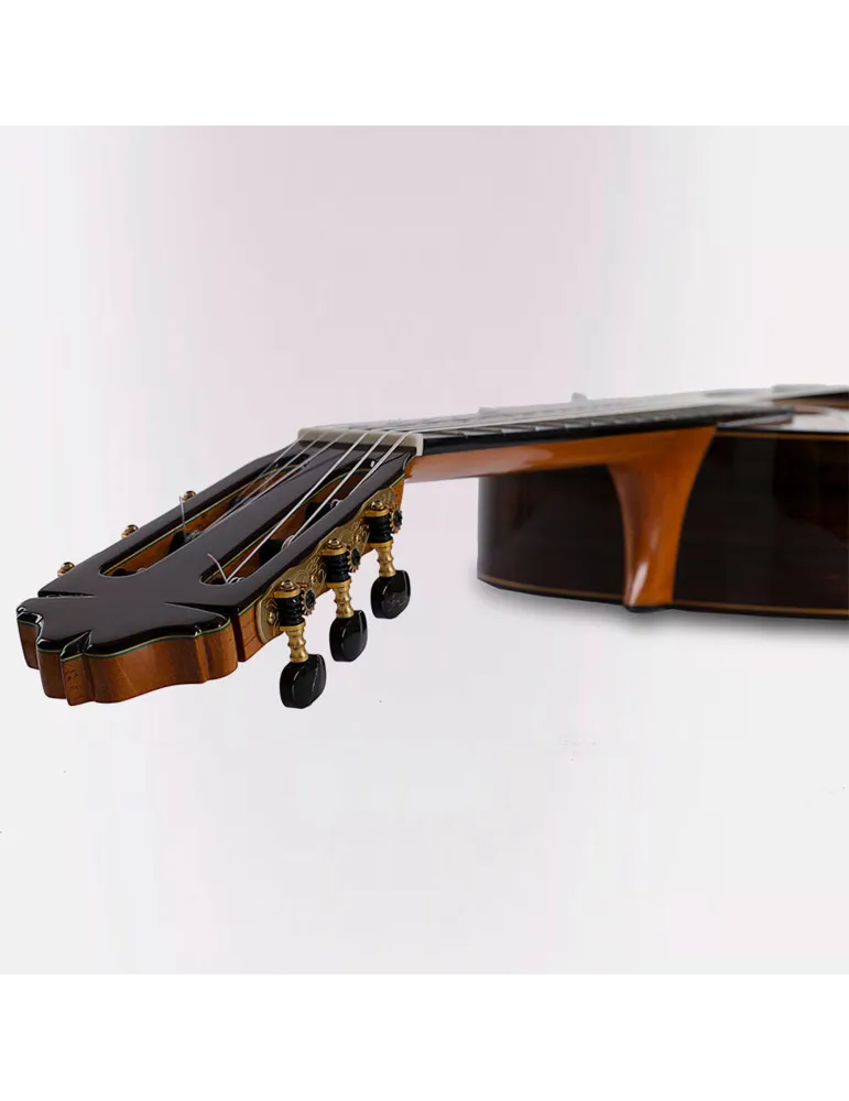  ESTEVE GUITAR 65 YEARS|MusicGoodDeal 