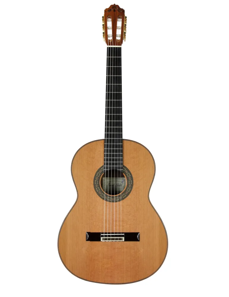  ESTEVE GUITAR MOD.12 CEDAR CASE|MusicGoodDeal 