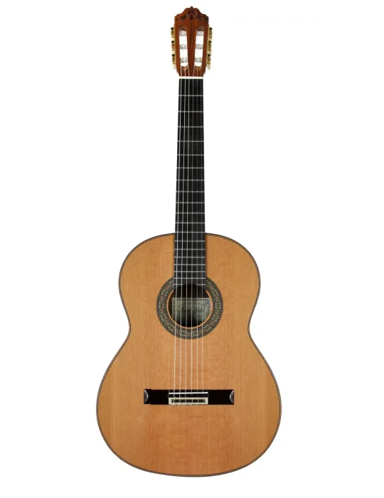  ESTEVE GUITAR MOD.12 CEDAR CASE|MusicGoodDeal 