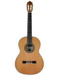  ESTEVE GUITAR MOD.12 CEDAR CASE|MusicGoodDeal 