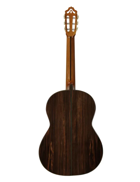  ESTEVE GUITAR MOD.12 CEDAR CASE|MusicGoodDeal 