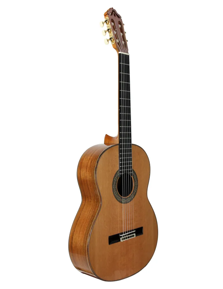  ESTEVE GUITAR MOD.12 CEDAR CASE|MusicGoodDeal 