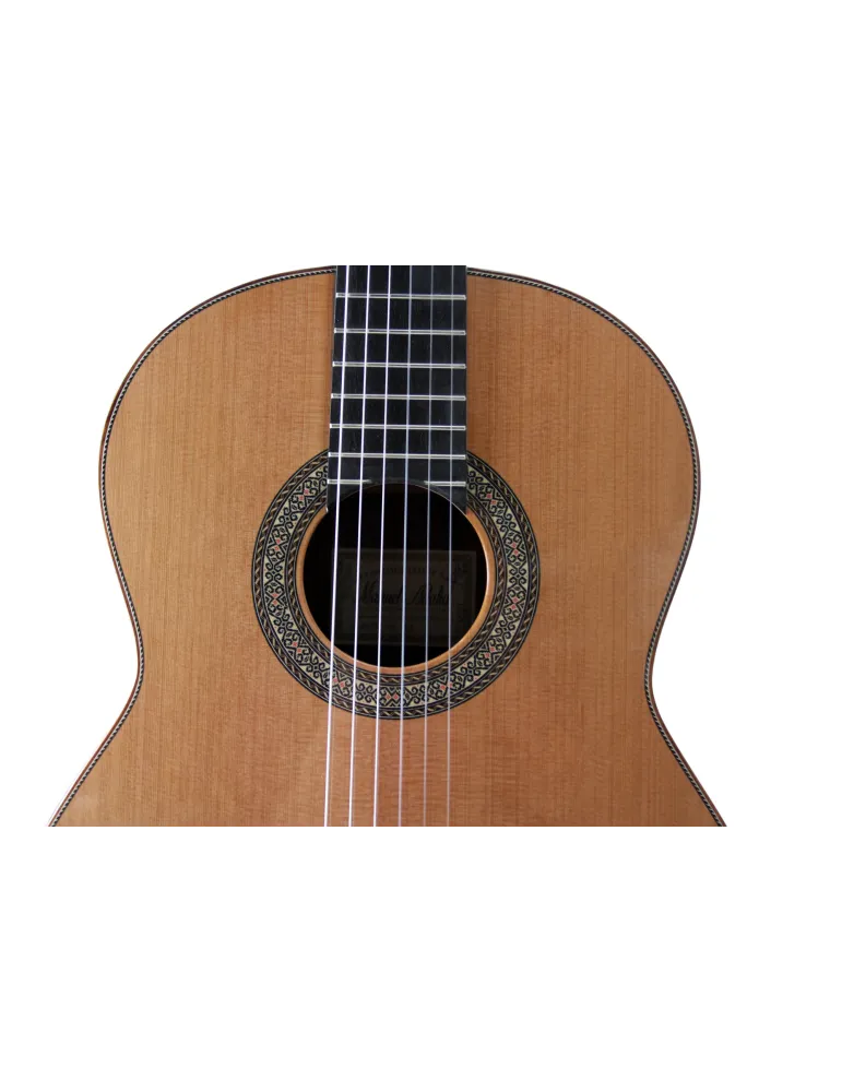  ESTEVE GUITAR MOD.12 CEDAR CASE|MusicGoodDeal 