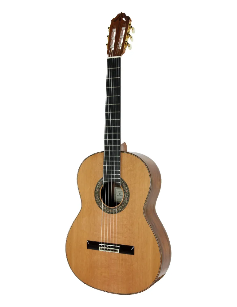  ESTEVE GUITAR MOD.12 CEDAR CASE|MusicGoodDeal 