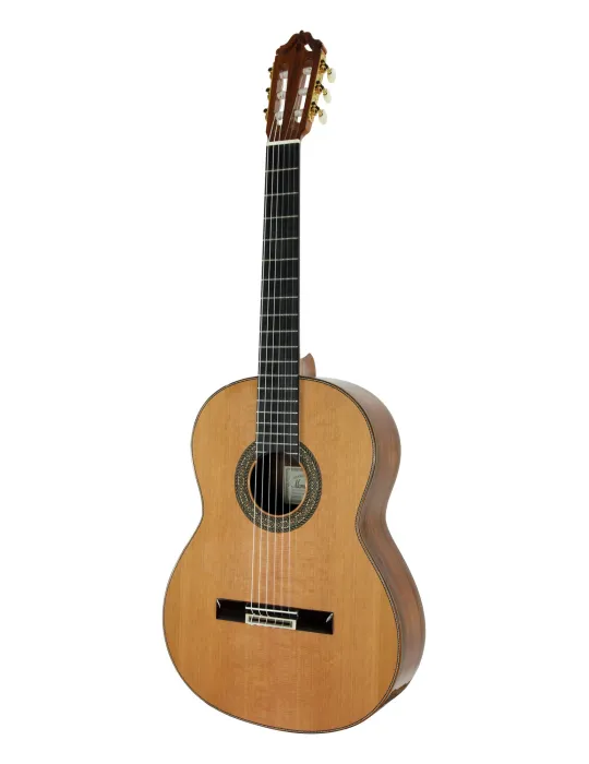  ESTEVE GUITAR MOD.12 CEDAR CASE|MusicGoodDeal 