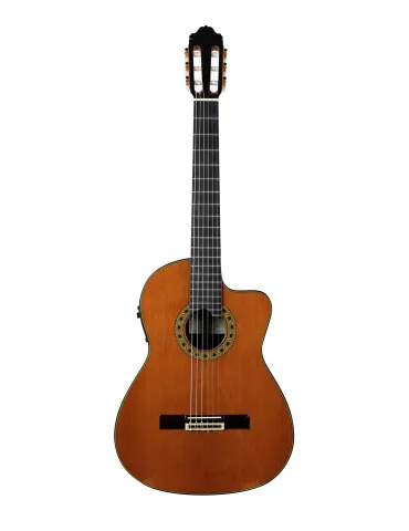 ESTEVE ELEC-SC | MusicGoodDeal